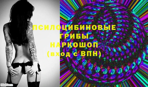винт Гусев