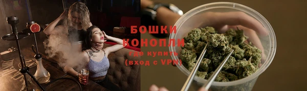 винт Гусев