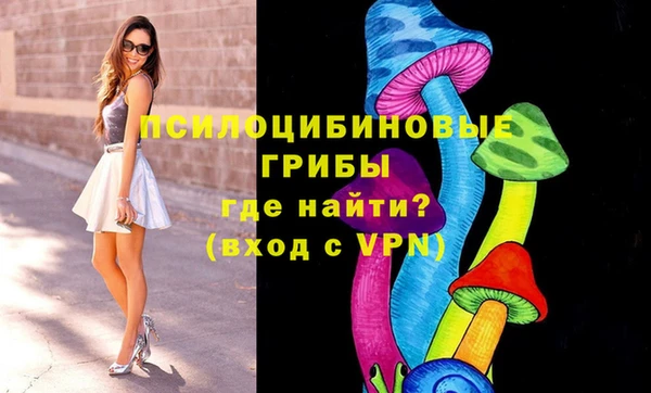 круглые Гусь-Хрустальный