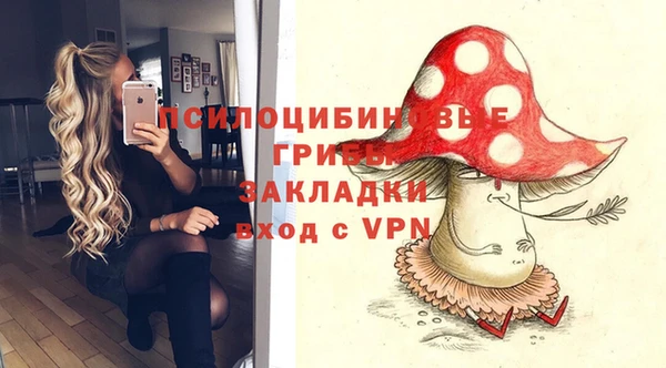 винт Гусев