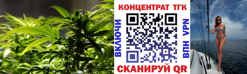 shop Telegram  Цоци-Юрт  ТГК жижа  наркота 